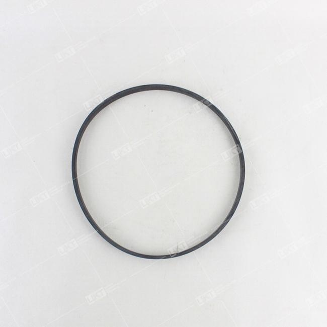 Фото: C3926048 Кольцо уплотнительное (блок цилиндров) C3926048