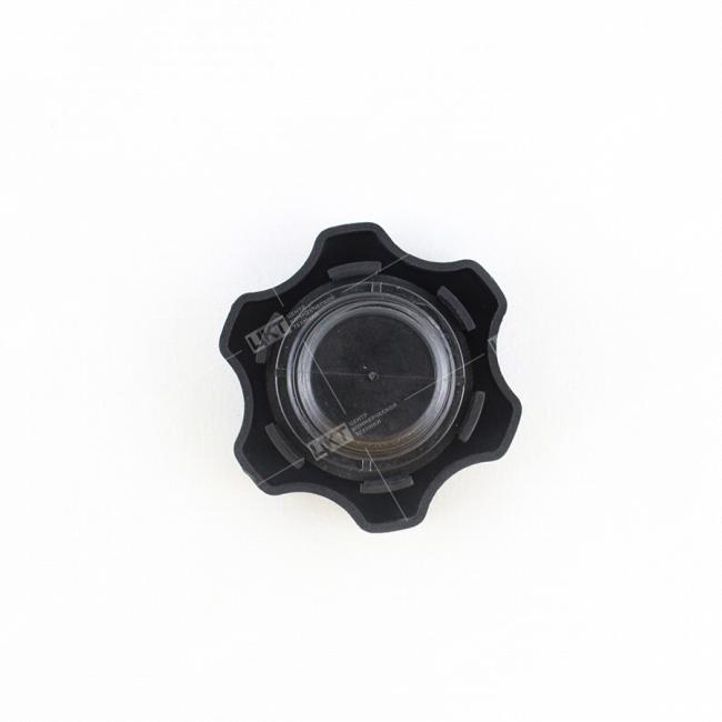 Фото: C3968202 Крышка маслозаливной горловины (верхняя) (L, ISLe) C3968202