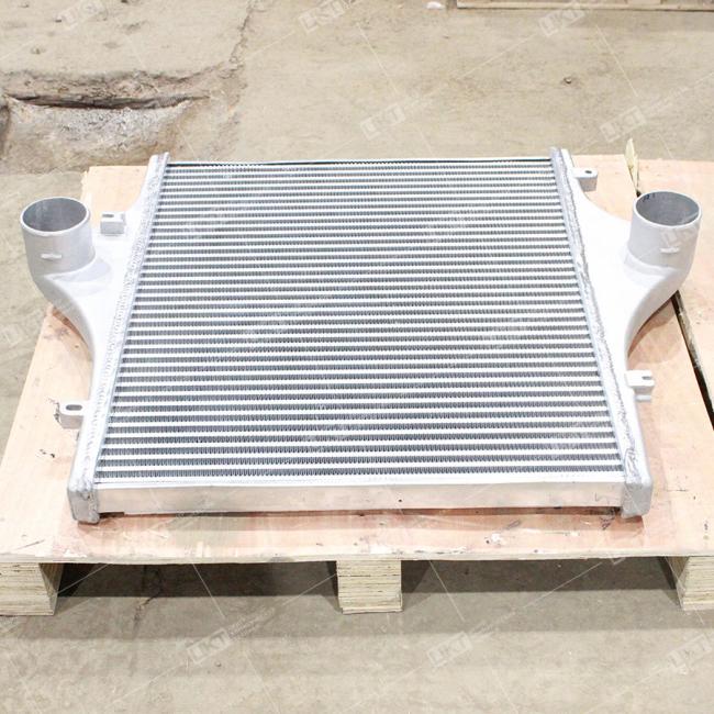 Фото: DZ95259531502 Интеркуллер (радиатор интеркуллера)  DZ95259531502